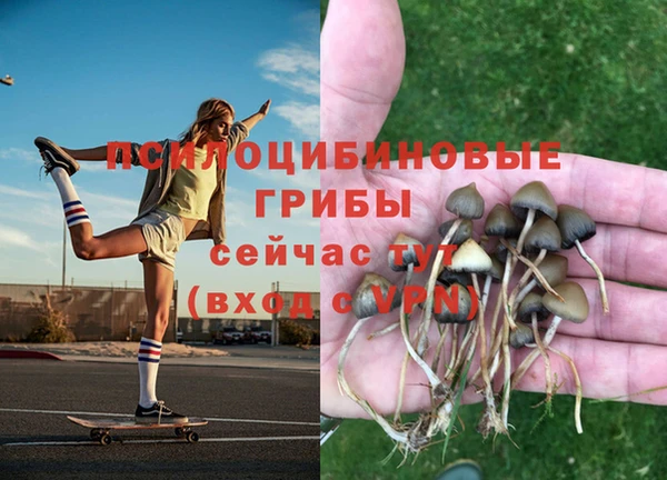 спиды Абдулино