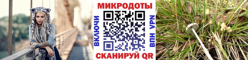 Псилоцибиновые грибы Psilocybine cubensis  цена   Энгельс 